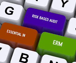Essentials of Internal Audit