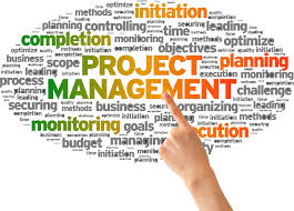 Project Planning and Management - Advanced Level